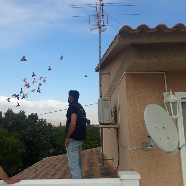 Antenista Rojales 1