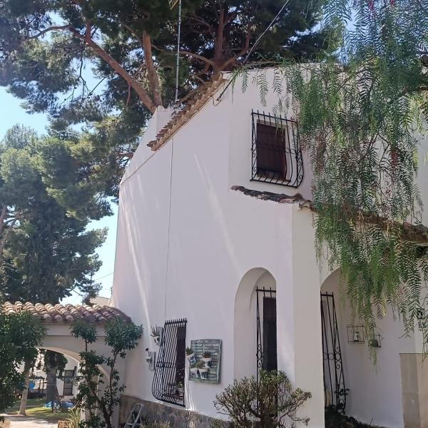 Antenista Tibi 5