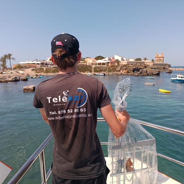 Antenista Tabarca 0